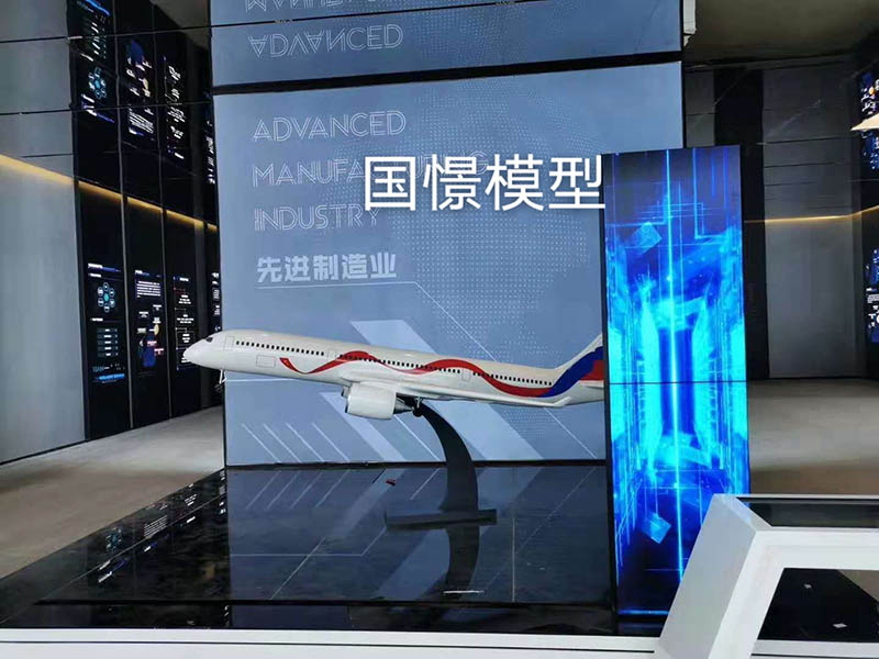 大庆飞机模型